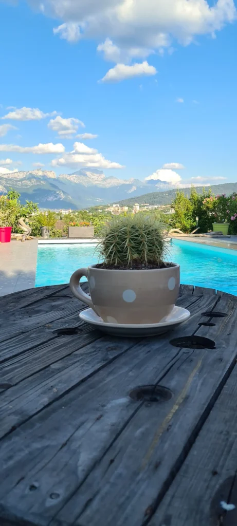 Appartement avec piscine disponible à la location à Annecy